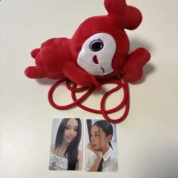 TWICE LOVELYS 채영 첸브리  미니백 트레이딩 카드 2장