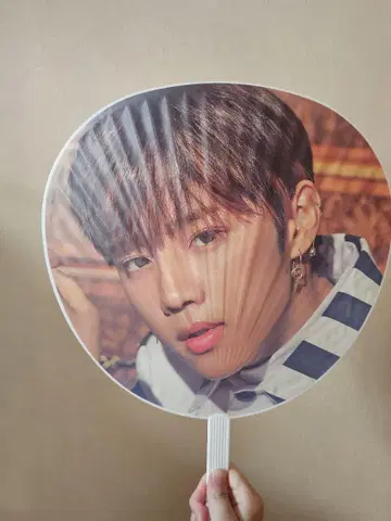THE BOYZ 선우 부채 공식