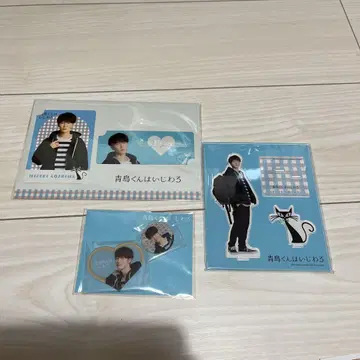 SnowMan 와타나베 쇼타 아크릴 스탠드 등 4점 세트 덤 포함
