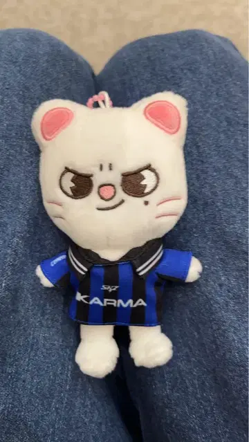 KARMA 유니폼 마스코트