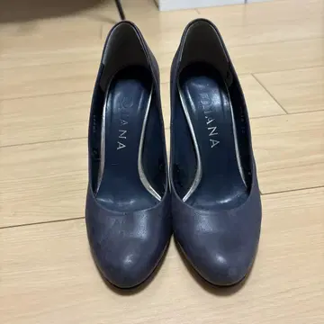 22cm 다이애나