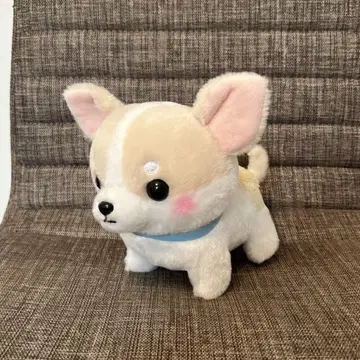말랑 치와와 외출 봉제 인형 심장
