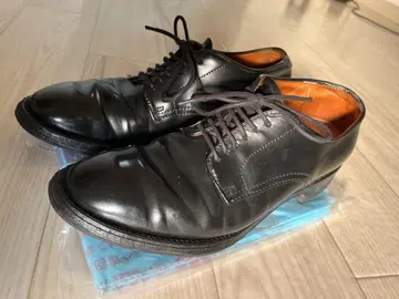 알든 코도반 6.5D 최종 가격 인하