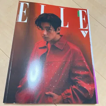 BTS 뷔 ELLE
