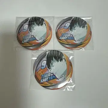 하이큐 팬파크 카게야마