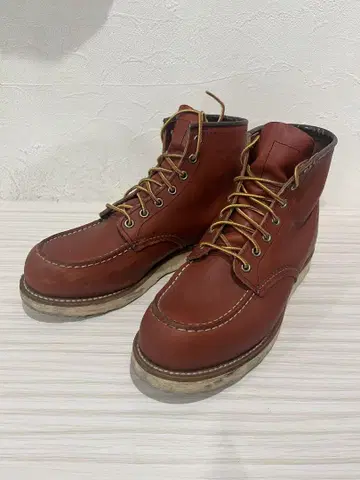REDWING 8875 아이리쉬 세터 26.5