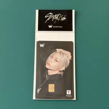Stray Kids WOWPASS 필릭스