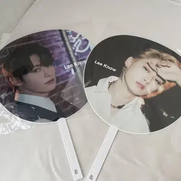 StrayKids 리노 부채 세트 ALLIN Scars