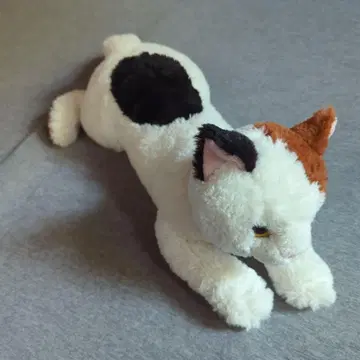 산레몬 고양이 봉제 인형 무릎 고양이
