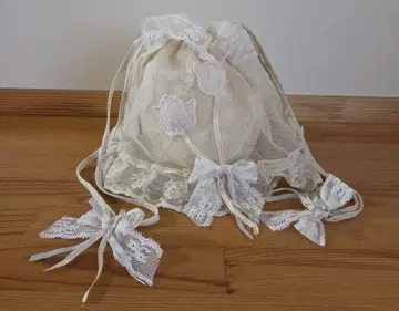 사엘라 아키아카네 파우치