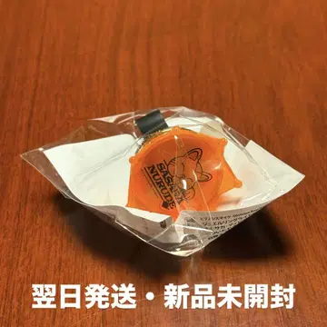 시라카미 사사라 링 라이트