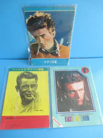 제임스 딘 영화 팜플렛 3권 JAMESDEAN 제임스 딘