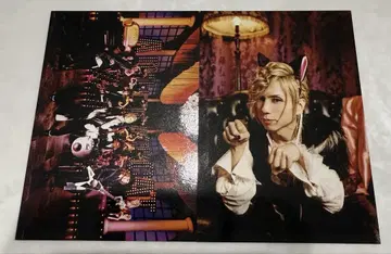 Acid Black Cherry 트레이딩 카드 검은 고양이