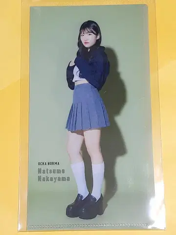 OCHA NORMA 나카야마 나츠키 슬림 클리어 파일