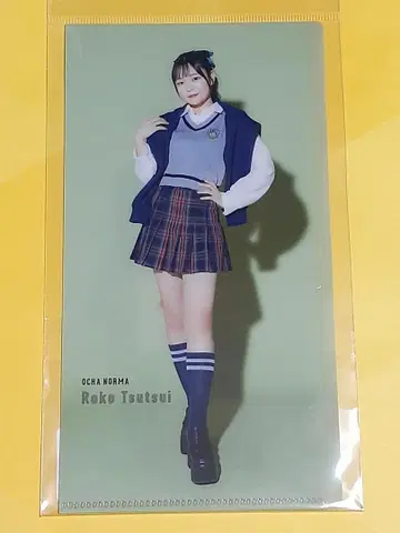 OCHA NORMA 츠츠이 미코토 슬림 클리어 파일