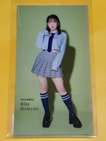 OCHA NORMA 니시자키 미쿠 슬림 클리어 파일