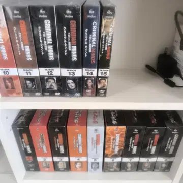 Criminal Minds 컴팩트 DVD 전 시즌