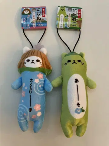 노비네코 가고시마 아소