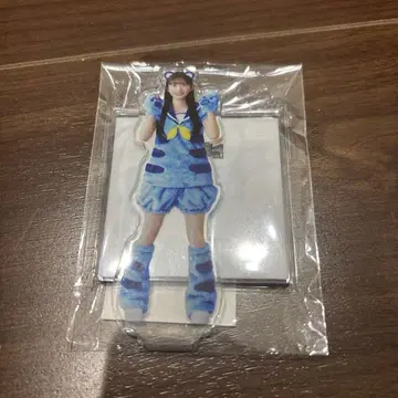 보쿠가 미타캇타 아오조라 하야사키 스즈키 아크릴 스탠드