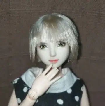 커스텀 인형