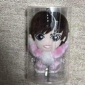 NEWS 카토 시게아키 속 인형 봉제 인형