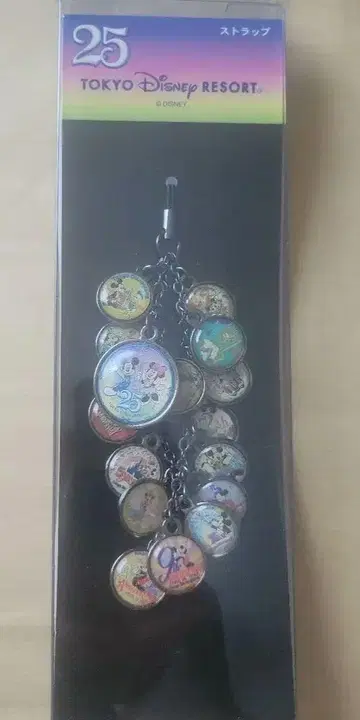 디즈니랜드 25주년 스트랩