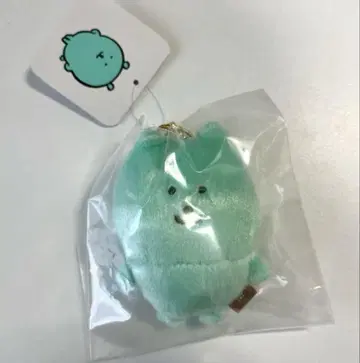 [ 나가노 마켓 ] 컬러풀 나가노의 곰 마스코트 (민트 그린)