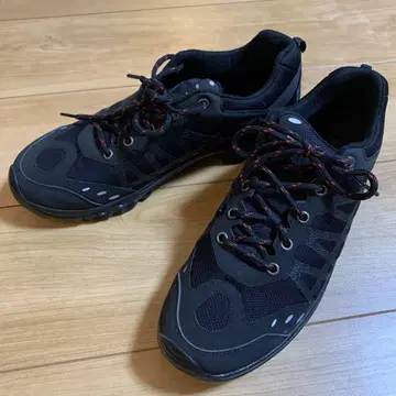 found russian trainer 42 reproduction