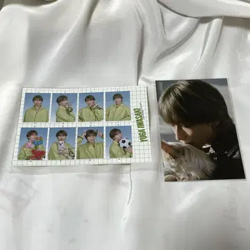 이와사키 유가 브로마이드