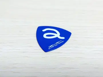 오오모리 세이코 avex 라스트 피크