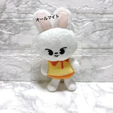 straykids skzoo 스키즈 백참 리빗 리노 푸딩