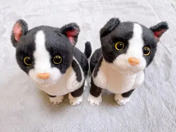 고양이 봉제 인형 2개 약 30cm