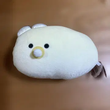 동글동글한 눈의 생굴 베이비즈 [ 아사리짱 ]