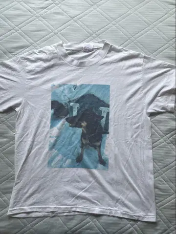 90s USA산 헤인즈 Hanes 애니멀T 도베르만 도그 크롭