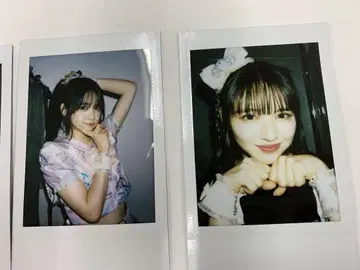 진세이 스즈카 폴라로이드 5장 세트