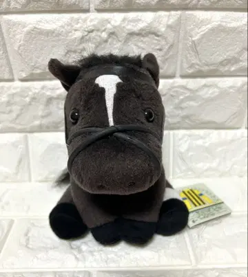 아이돌 호스 봉제 인형 서울 스털링