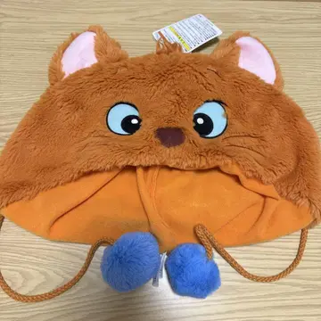 디즈니 팬 캡