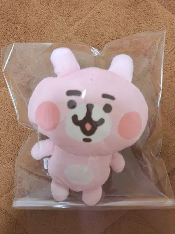 레어템 인체의 신비전 해골 토끼