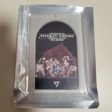 SEVENTEEN 라이히아