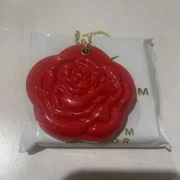 RYUJI KINGDOM 로즈 슬라이드 거울
