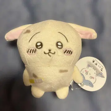 치이카와 (먼작귀) 토보토보 봉제 인형 토끼