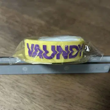 VAUNDY 러버 밴드