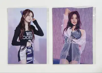 미개봉*MISAMO SANA 사나 ONCE JAPAN 혜택 엽서 2장