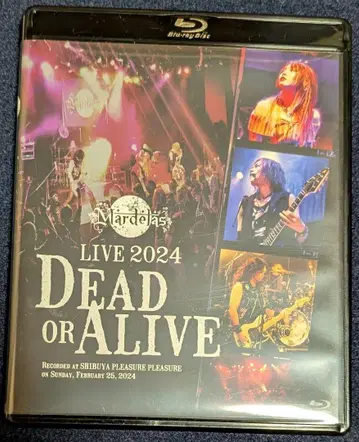 Mardelas / LIVE 2024 - DEAD OR ALIVE