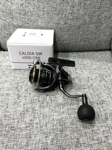 22 칼디아 SW 4000CXH