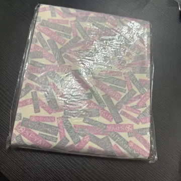 공식 SPYAIR 거울 미사용 새상품