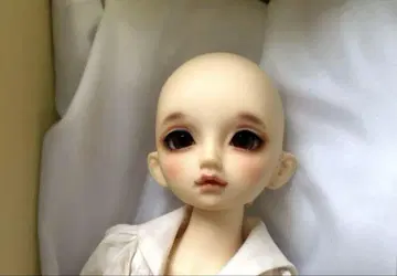 슈퍼돌피 보크스 SDM 스탠다드 노아