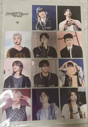 SEVENTEEN RIGHT HERE 데지코 B5 스티커