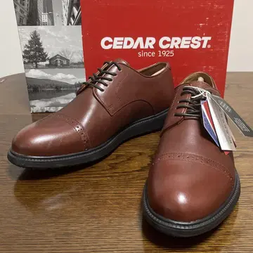 시더 크레스트 25cm 가죽 신발 2