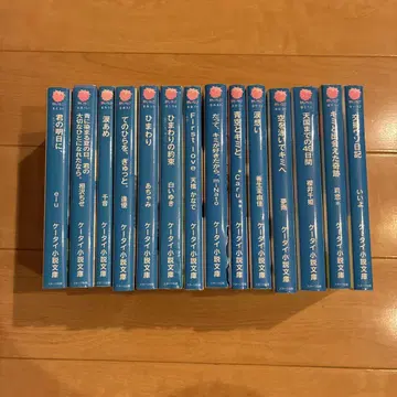 휴대폰 소설
